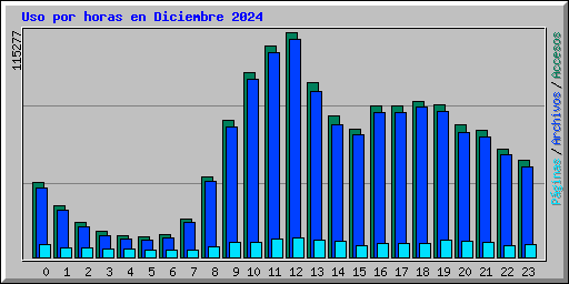 Uso por horas en Diciembre 2024