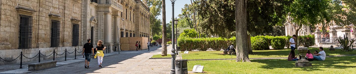 Consejo del centro